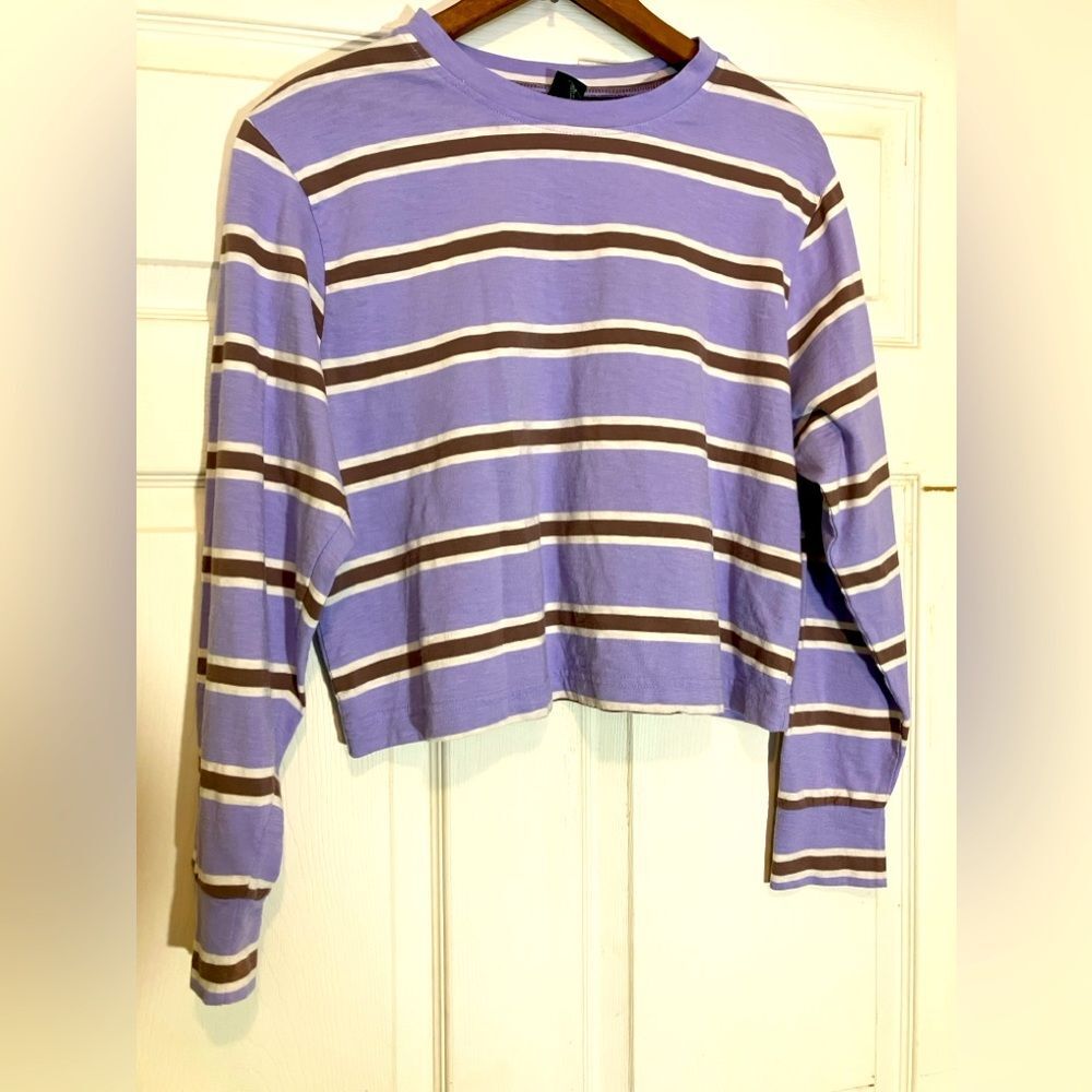 Wild Fable, purple, brown, white striped, excellent condition, cropped, small